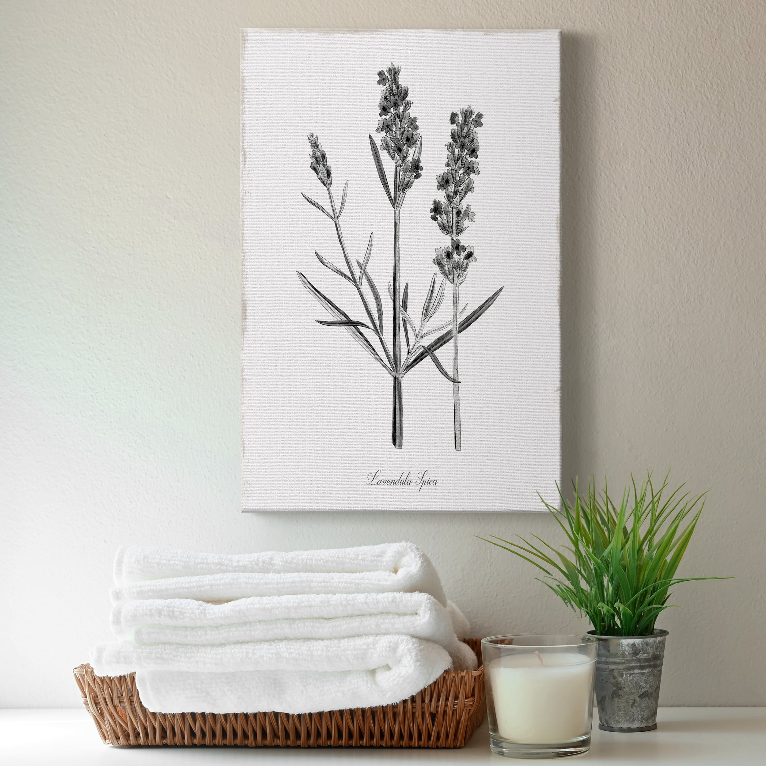 Simply Lavender Premium Gallery Wrapped Canvas - Ready to Hang - 32 x 48