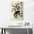 thumbnail image 2 of ARTCANVAS American Crow Canvas Art Print by John James Audubon - Size: 26" x 18" (0.75" Deep), 2 of 9