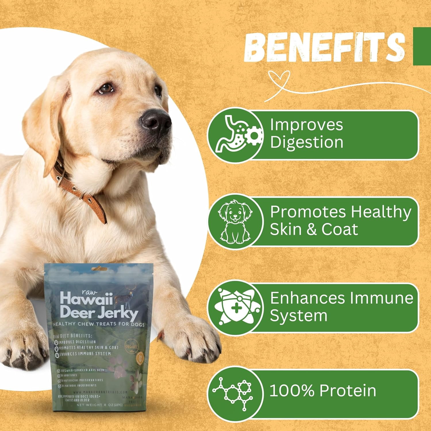 Deer Jerky Dog Treats - HYZ01 100% Venison Meat, Grain-Free & All Natural | Healthy Chew Treats for Medium & Large Dogs | Made in USA - 8 Oz
