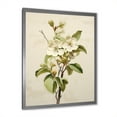thumbnail image 3 of Designart "Beige Apple Blossom Minimalism I" Apple Blossom Picture Framed Canvas Wall Art, 3 of 5