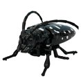 thumbnail image 3 of YWIYIUD 1PC 2.44x4.02x1.65inch Realistic InsectShaped Toys Model for Science Learning and Educational Science Gifts Mini InsectShaped Model for Home Living Room Ornaments, 3 of 5