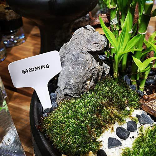 KINGLAKE 100 Pcs White Thick Plastic Garden Plant Seed Tags Heart Shaped Waterproof Nursery Garden Labels Marker 