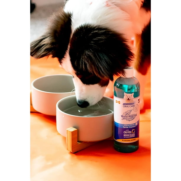 Advanced oral care for dogs 2025