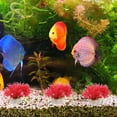 thumbnail image 3 of 10pcs Fish Tank Fake Plant Decoration Plastic Simulation Underwater Plant Model Fish Hideout Place, 3 of 4