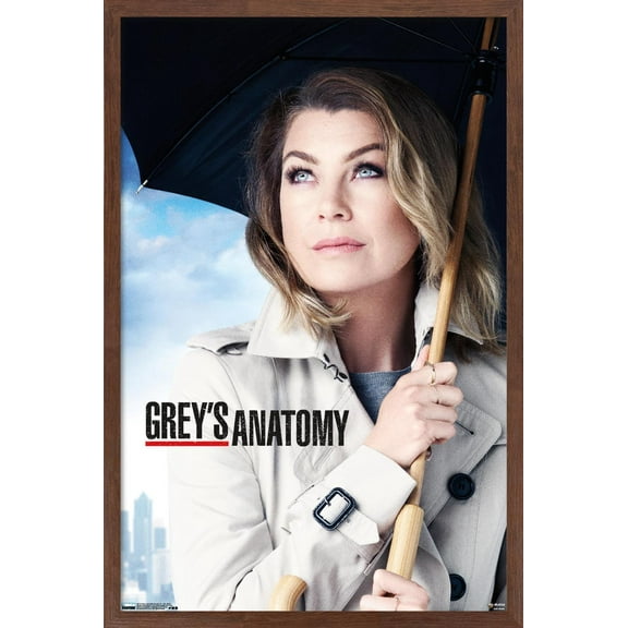Grey's Anatomy Season 12 - One Sheet Wall Poster, 14.725" x 22.375", Framed