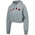 thumbnail image 2 of Women's The Wild Collective Gray Tampa Bay Buccaneers Cropped Pullover Hoodie, 2 of 4