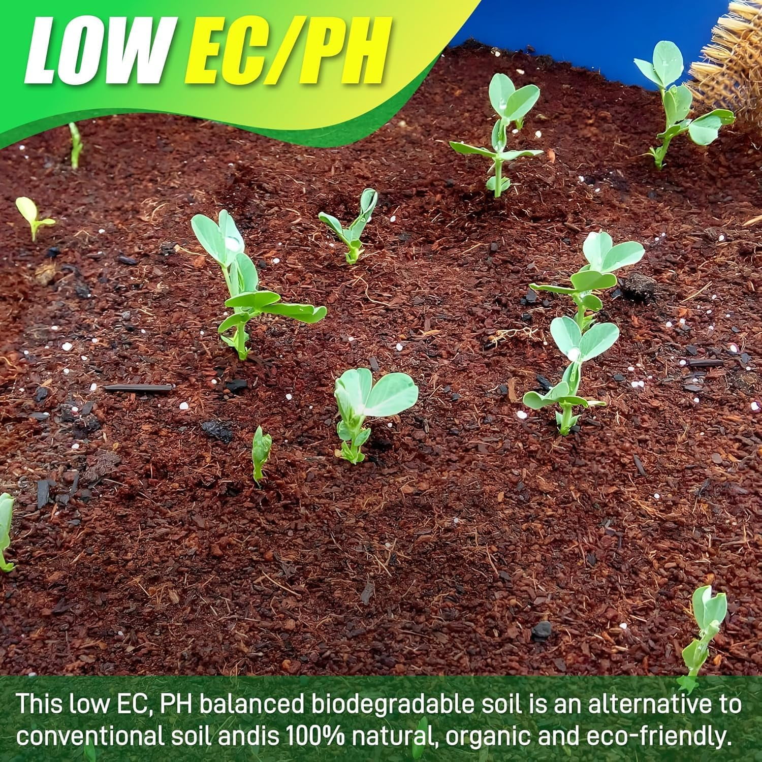 Coco Coir Brick for Plants, 3 Packs 100% Natural Organic Compressed Coconut Coir Fiber with Low EC & PH Balance, High Nutrition Coconut Soil Coco Fiber for Planting, Herbs