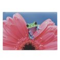 thumbnail image 1 of Animal Cutting Board, Tiny Little Tree Frog on Gerbera Flower Nature Moments Shoots Art, Decorative Tempered Glass Cutting and Serving Board, Large Size, Pink Green Blue, by Ambesonne, 1 of 1