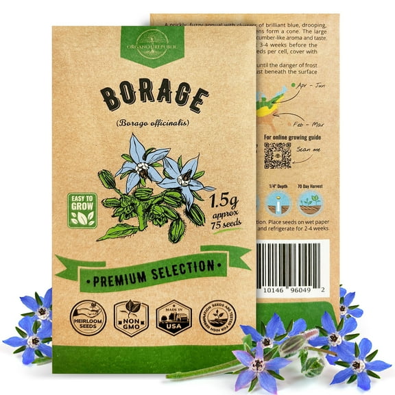 Organo Republic Borage Seeds – 75  Non-GMO Heirloom Seeds, 1.5g Packet for Planting Herbs Indoors & Outdoors, Cucumber-Flavored Edible Flower for Home Garden