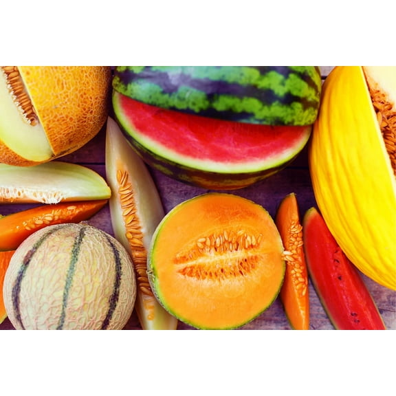 30 Seeds Garden Melon Mix - Easy to Grow Melons, Full of Flavor and Fun