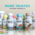 thumbnail image 6 of Solaray Childrens Vitamins & Minerals | Complete Multivitamin for Kids | Great Black Cherry Flavor, 6 of 6