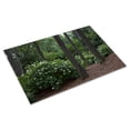thumbnail image 3 of Print: Birmingham Botanical Gardens, Birmingham, Alabama, 2010, 3 of 4