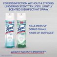 thumbnail image 2 of Lysol® Disinfecting Spray Lemon Breeze, 350 g, 2 of 8