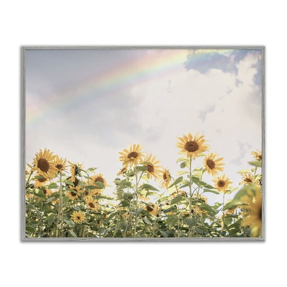 Stupell Industries French Country Rainbow over Sunflowers Gray Framed Giclee Art, 14 x 11, by Sisi and Seb