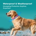 thumbnail image 5 of ZingZap Flea & Tick Collar 2-Pack Pink, Protects from Biting Insects, Adjustable Fits Both Dogs & Cats, Built-in Plant Based Formula, Slow-Release Lasting Protection, Waterproof, 5 of 6