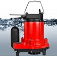thumbnail image 3 of Red Lion RL-33C Cast Iron Sump/Effluent Pump with Snap-Action Float Switch, 1/3 hp/3420 GPH, 3 of 8