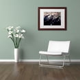 thumbnail image 4 of Trademark Fine Art "Little Wonders" Canvas Art by Beata Czyzowska Young, White Matte, Black Frame, 4 of 4
