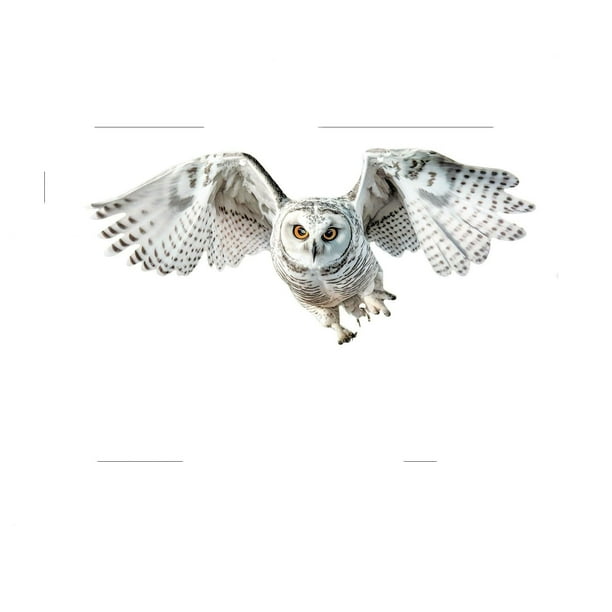 Xihbxyly Estatua de Búho Realista, Escultura Acrílica Repelente de Aves, Decoración Duradera para Jardín, Resistente a La Intemperie, Adorno Decorativo para Jardín, Estética Natural, Juego de 1 Pieza
