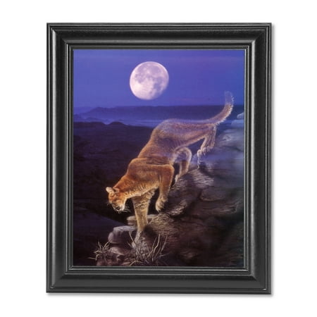 Bobcat Mountain Lion Enter the Badlands at Night Wall Picture Black