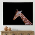 thumbnail image 2 of Designart 'Portrait of A Giraffe On Black Background I' Farmhouse Framed Canvas Wall Art Print, 2 of 5