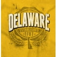 thumbnail image 2 of Delaware DE Student Campus Pride Plus Size Crewneck Graphic Tee Shirt Brisco Brands 2X, 2 of 3