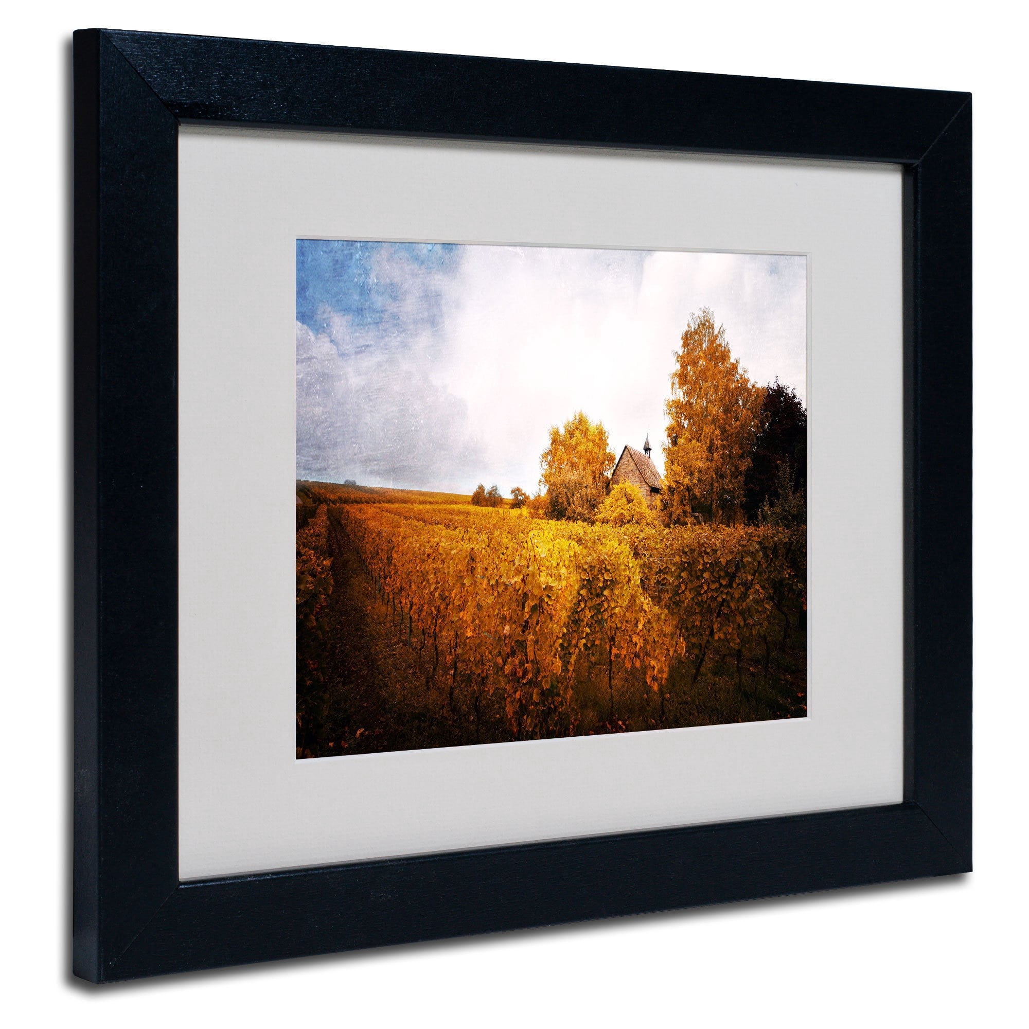 Trademark Fine Art "Light in Vineyards" Canvas Art by Philippe Sainte-Laudy, Black Frame
