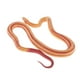 thumbnail image 5 of Modelo de figura de plástico Zulema Serpiente juguete Animal de granja, 5 of 6