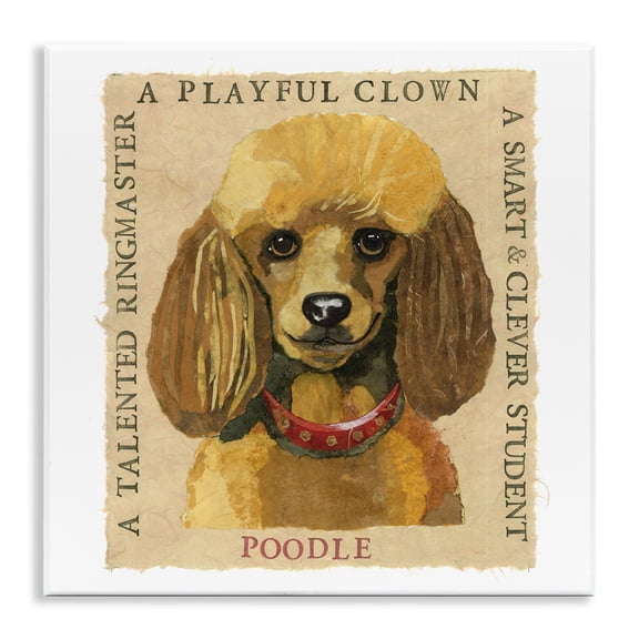 Stupell Industries Traditional Fun Poodle Pet Phrases Wall Plaque Art, 12 x 12, by Nancy Overton