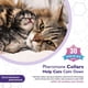 thumbnail image 3 of 3 Collares Calmantes para Gatos Collares Calmantes para Aliviar La Ansiedad (perro 3 Piezas) 3 Color Morado, 3 of 9