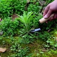 thumbnail image 2 of Stainless Steel Manual Weeding Tool, Labor Saving Quick Weeding Tools, Including Transplant Rake For, 2 of 3