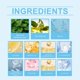 thumbnail image 5 of 1-6pcs SOUTH MOON Anti-Nail Fungus Cream 20g Nail Strengthening Treatment Moisturizer for Damaged Na, 5 of 5
