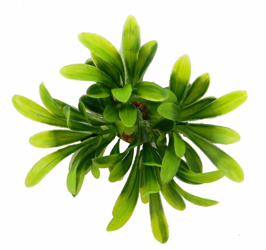 (6 pack) Aqua Culture Value Aquarium Plant Decoration - Green