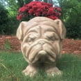 thumbnail image 2 of Homestyles Stone Wash Bulldog Muggly Mascot Animal Statue Humorous Planter Pot, 2 of 3