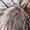 AC-Heather Grey, variant on KiniArt Sloth Boys or Girls Toddler T-Shirt