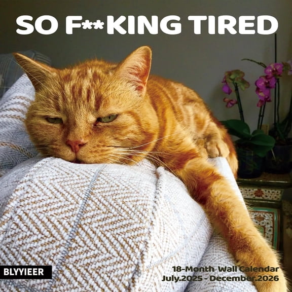 2026 Wall Calendar,Cat Calendar 2026,So tired cat Monthly Wall Calendar, 12" x 24" Open,Family Planner Calendar Organizer with Maine coon Images, for Cats Lovers