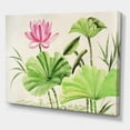 thumbnail image 3 of Designart ' Ancient Pink Lotuses In The Pond V ' Traditional Canvas Wall Art Print, 3 of 4