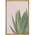 thumbnail image 4 of PixonSign Framed Canvas Print Wall Art Prickly Pear Cactus Botanical Flower Photography Modern Art Glam Closeup Colorful Multicolor Ultra for Living Room, Bedroom, Office - 24"x36" Natural, 4 of 5