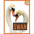 thumbnail image 1 of Cygne (Spotlight sur la Nature), 1 of 1