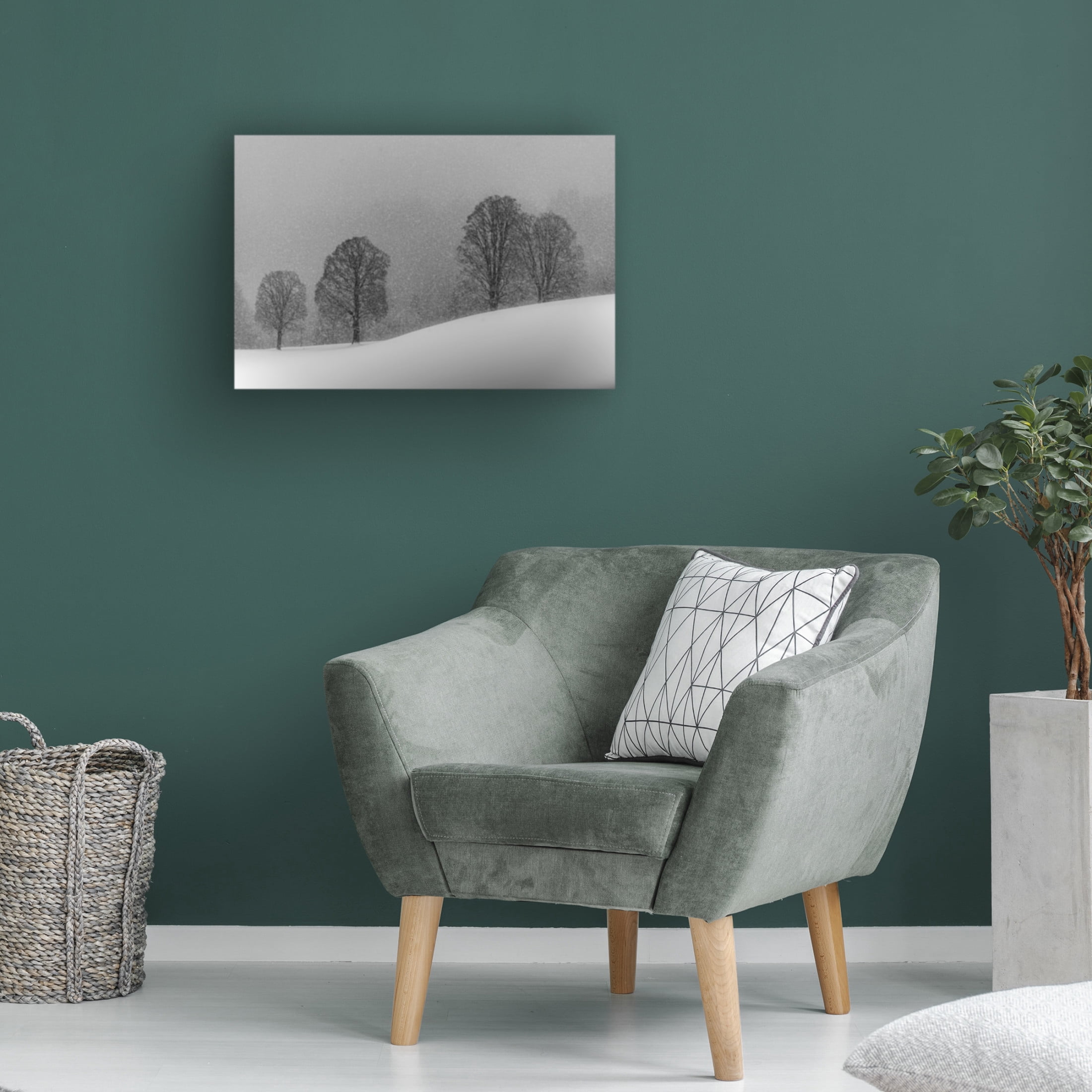 Trademark Fine Art Andy Dauer Snow White Canvas Wall Art