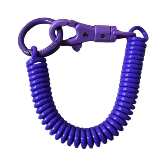 Retractable Coil Elastic Keychain Retractable Spring Coiled Stretchy Keychain Spring Keychain, Stretchy Spirals Keyring
