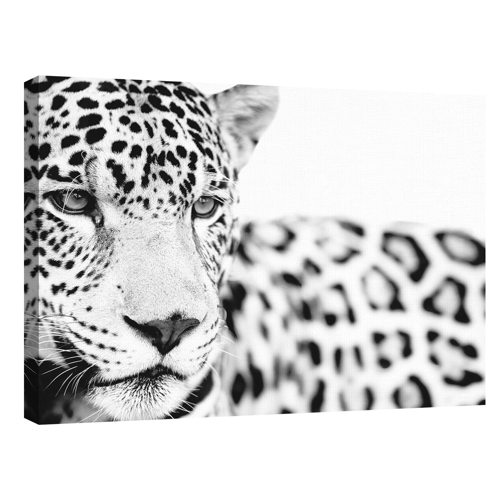 Majestic Calm by Staffan Widstrand Leopard Photo Canvas Art