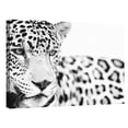 thumbnail image 4 of Majestic Calm by Staffan Widstrand Leopard Photo Canvas Art, 4 of 4