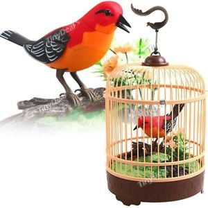 Music Magic Singing & Chirping Bird in Cage - Electronic Pet
