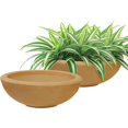 thumbnail image 1 of ZYPPPA Percival 20.75" Shallow Outdoor Planter Bowl for Flowers and Succulents - Polyresin Double-Walled Design - Sand - Set of 2, 1 of 9