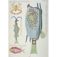 thumbnail image 2 of Colourful Illustration Of Three Fish And A Crustacean Poster Print By Mary Evans Natural History Museum, 2 of 4