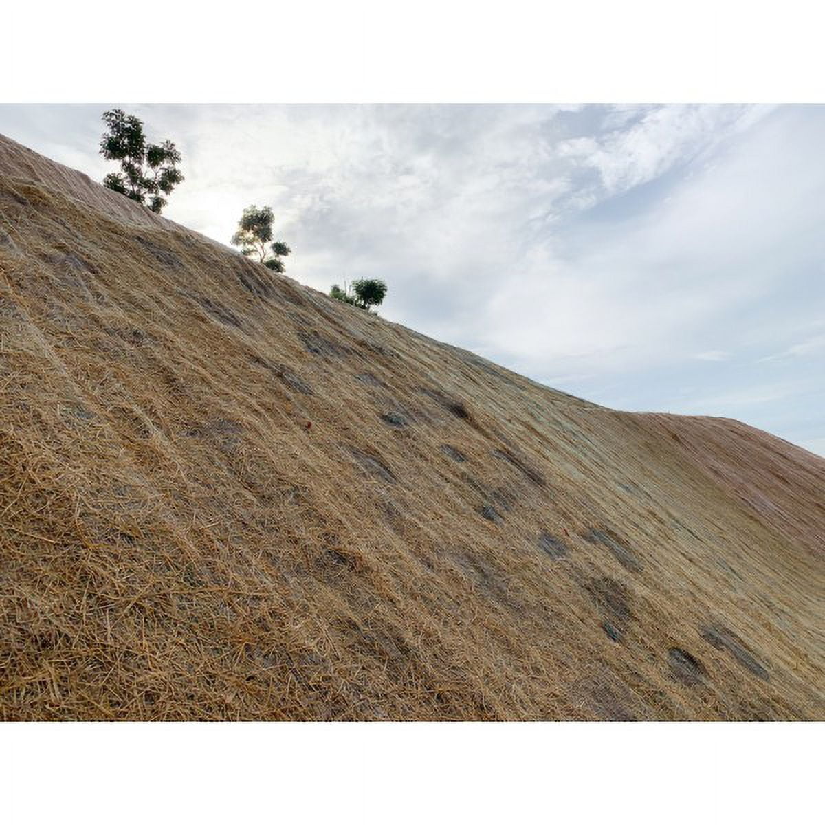 Farm Plastic Supply - 100% Coconut Fiber Erosion Control Blanket - 3' x 112.5' - Coconut Garden and Landscape Cover, Erosion Control Blanket, Coconut Blanket, Erosion Control, Mulch, Slope Stabilizer