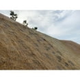 thumbnail image 2 of Farm Plastic Supply - 100% Coconut Fiber Erosion Control Blanket - 3' x 112.5' - Coconut Garden and Landscape Cover, Erosion Control Blanket, Coconut Blanket, Erosion Control, Mulch, Slope Stabilizer, 2 of 4