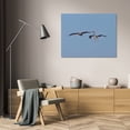 thumbnail image 3 of Lee Peterson 39x28 Gallery Wrapped Canvas Wall Art Titled - Pelicans in Flight II, 3 of 4