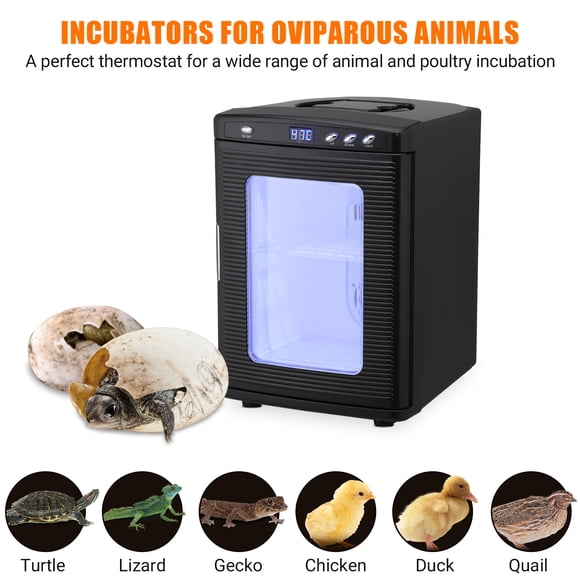 Reptile Egg Incubator – 25L Digital with Accurate Temp Control 10-60°C – Portable Science Hatcher – Dual AC/DC Power & Handle – for Lab, Home & Vehicle – Black