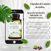 Castaño De Indias (Horse Chestnut Capsules) – 1500 mg per Serving, 90 Veggie Caps, 100% Natural, Premium Dietary Supplement, Made in USA – Supports Circulatory & Vein Health